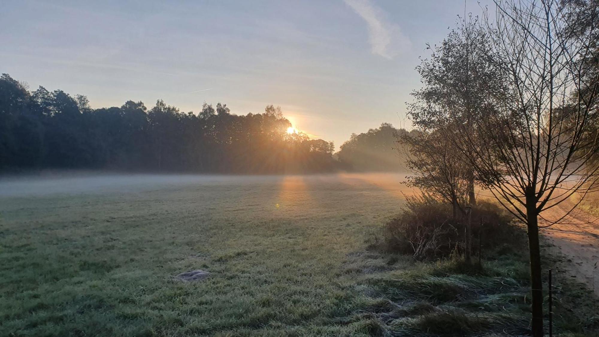 Am Gruenen Meer Muschen Luaran gambar